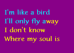 I'm like a bird
I'll only fly away

I don't know
Where my soul is