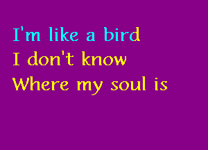 I'm like a bird
I don't know

Where my soul is