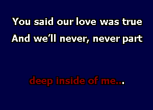 You said our love was true

And we'll never, never part