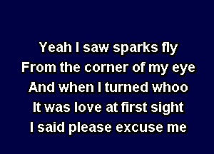 Yeah I saw sparks fly
From the corner of my eye
And when I turned whoo
It was love at first sight

I said please excuse me I