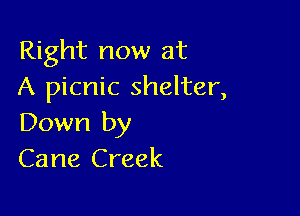 Right now at
A picnic shelter,

Down by
Cane Creek