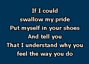 If I could

swallow my pride
Put myself in your shoes

And tell you
That I understand why you
feel the way you do
