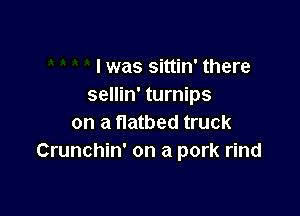 I was sittin' there
sellin' turnips

on a flatbed truck
Crunchin' on a pork rind