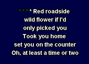 Red roadside
wild flower if I'd
only picked you

Took you home
set you on the counter
0h, at least a time or two