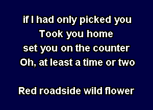 ifl had only picked you
Took you home
set you on the counter

on, at least a time or two

Red roadside wild flower