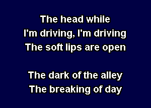 The head while
I'm driving, I'm driving
The soft lips are open

The dark of the alley
The breaking of day