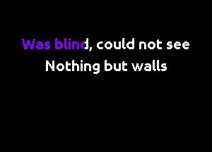 Was blind, could not see
Nothing but walls