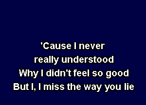 'Cause I never

really understood
Why I didn't feel so good
But I, I miss the way you lie