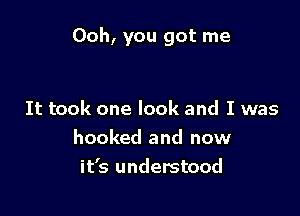 00h, you got me

It took one look and I was
hooked and now
it's understood