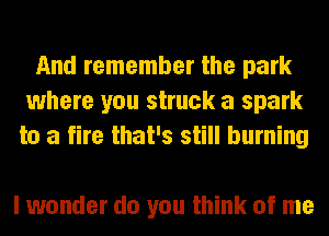 And remember the park
where you struck a spark
to a fire that's still burning

I wonder do you think of me