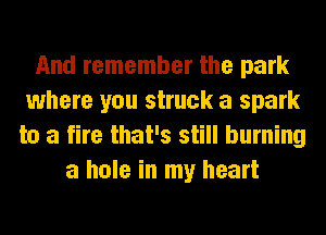 And remember the park
where you struck a spark
to a fire that's still burning
a hole in my heart