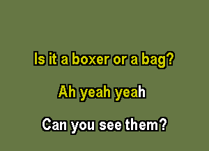 Is it a boxer or a bag?

Ah yeah yeah

Can you see them?