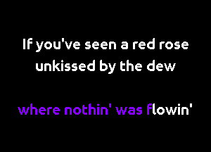 IF you've seen a red rose
unkissed by the dew

where nothin' was flowin'