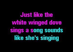 Just like the
white winged dove

sings a song sounds
like she's singing