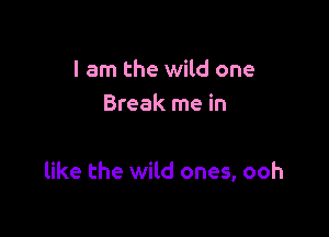 I am the wild one
Break me in

like the wild ones, ooh