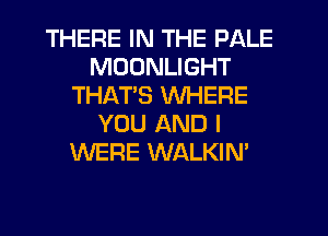 THERE IN THE PALE
MOONLIGHT
THATS WHERE
YOU AND I
WERE WALKIN'