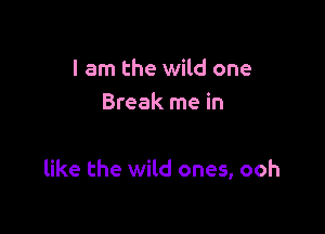 I am the wild one
Break me in

like the wild ones, ooh