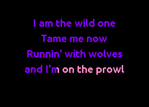 I am the wild one
Tame me now

Runnin' with wolves
and I'm on the prowl