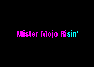 Mister Maia Risin'