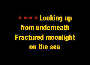 0 0 o 0 Looking up
from undemeath

Fractured moonlight
on the sea