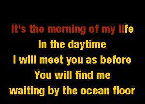 It's the morning of my life
In the daytime
I will meet you as before
You will find me
waiting by the ocean floor