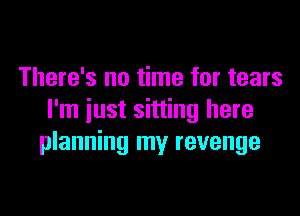 There's no time for tears

I'm just sitting here
planning my revenge