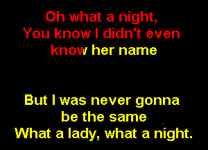 Oh what a night,
You know I didn't even
know her name

But I was never gonna
be the same .
What a lady, what a night.