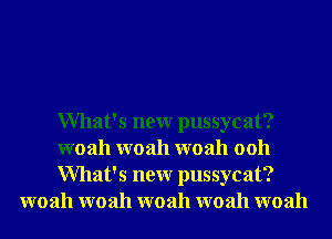 What's neur pussycat?

woah woah woah 0011

What's neur pussycat?
woah woah woah woah woah