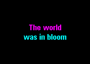 The world

was in bloom