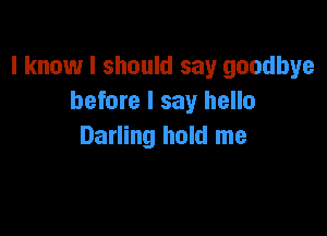 I know I should say goodbye
before I say hello

Darling hold me