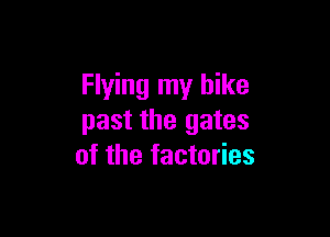 Flying my bike

past the gates
of the factories