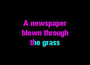 A newspaper

blown through
the grass