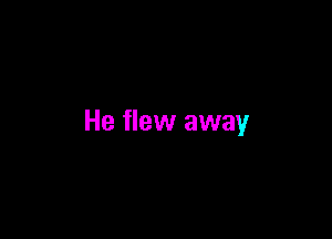 He flew away