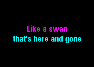 Like a swan

that's here and gone