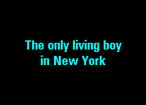 The only living boy

in New York