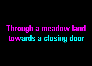 Through a meadow land

towards a closing door