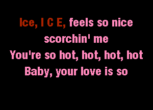 Ice, l G E, feels so nice
scorchin' me

You're so hot, hot, hot, hot
Baby, your love is so