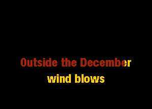 Outside the December
wind blows