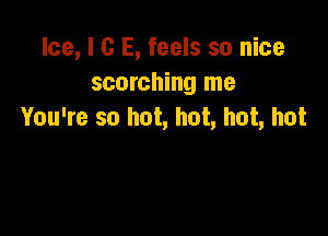 Ice, l G E, feels so nice
scorching me

You're so hot, hot, hot, hot