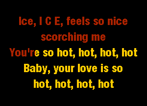 Ice, l G E, feels so nice
scorching me

You're so hot, hot, hot, hot

Baby, your love is so
hot, hot, hot, hot