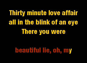 Thirty minute love affair
all in the blink of an eye
There you were

beautiful lie, oh, my