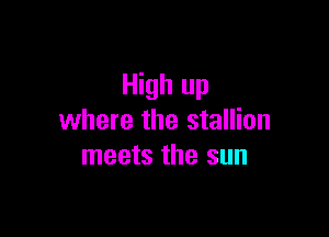 High up

where the stallion
meets the sun