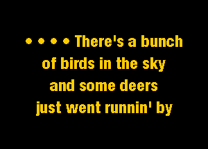 o o o 0 There's a bunch
of birds in the sky

and some deers
just went runnin' by