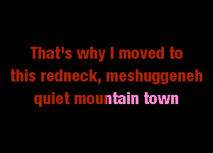 That's why I moved to

this redneck, meshuggeneh
quiet mountain town