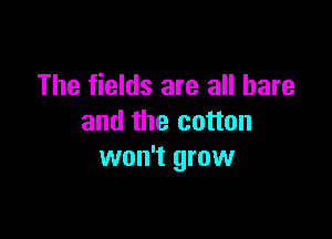 The fields are all bare

and the cotton
won't grow
