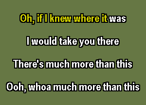 0h, ifl knew where it was
I would take you there
There's much more than this

00h, whoa much more than this