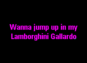 Wanna jump up in my

Lamborghini Gallardo