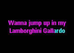 Wanna jump up in my

Lamborghini Gallardo