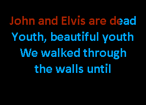 John and Elvis are dead
Youth, beautiful youth

We walked through
the walls until