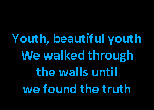 Youth, beautiful youth

We walked through
the walls until
we found the truth